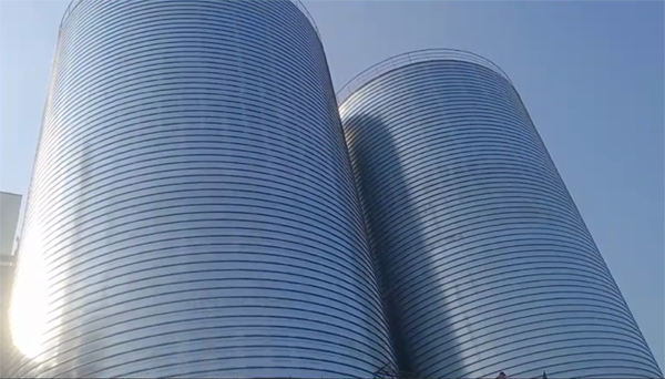 阎良2座混凝土高架卷板仓